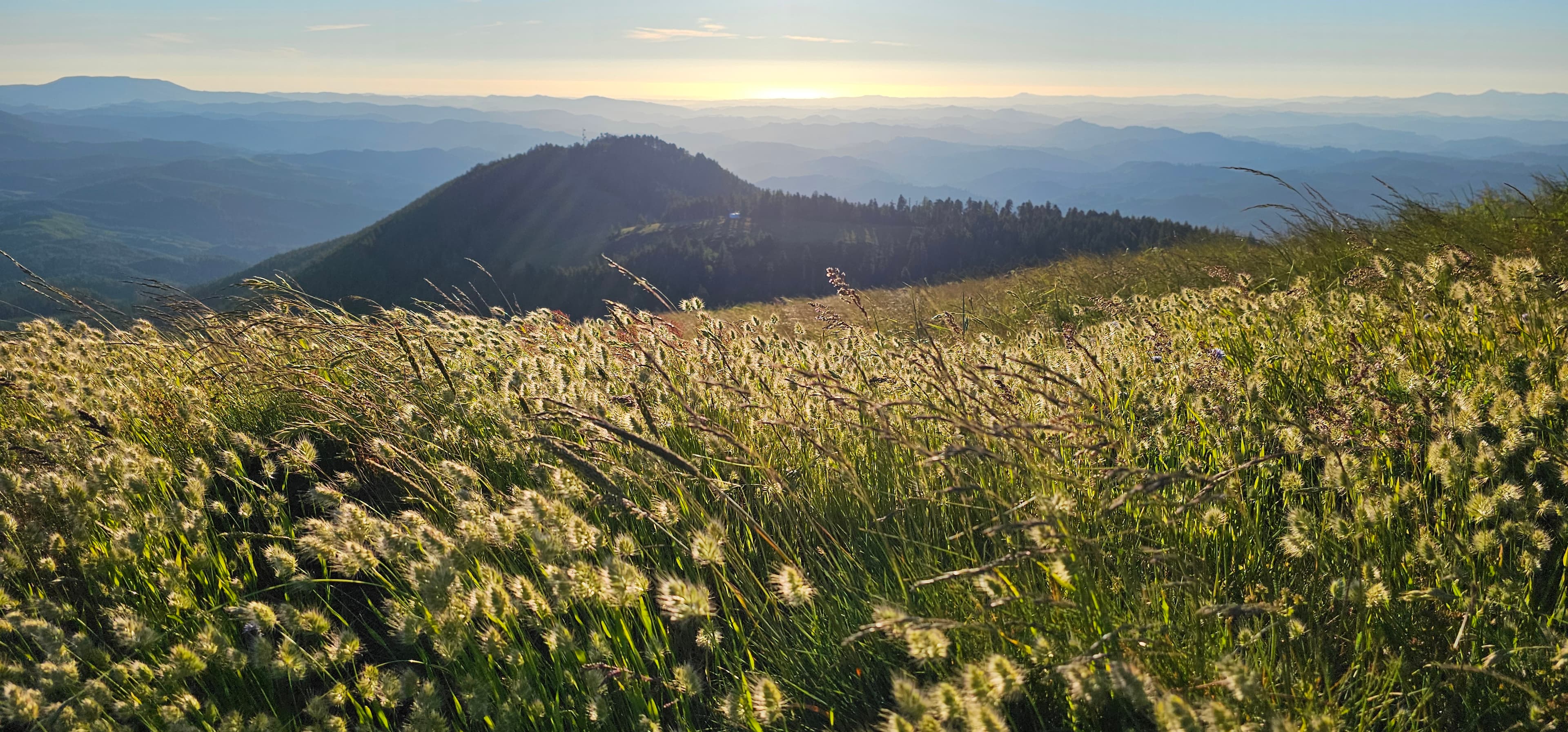 View from Marys Peak