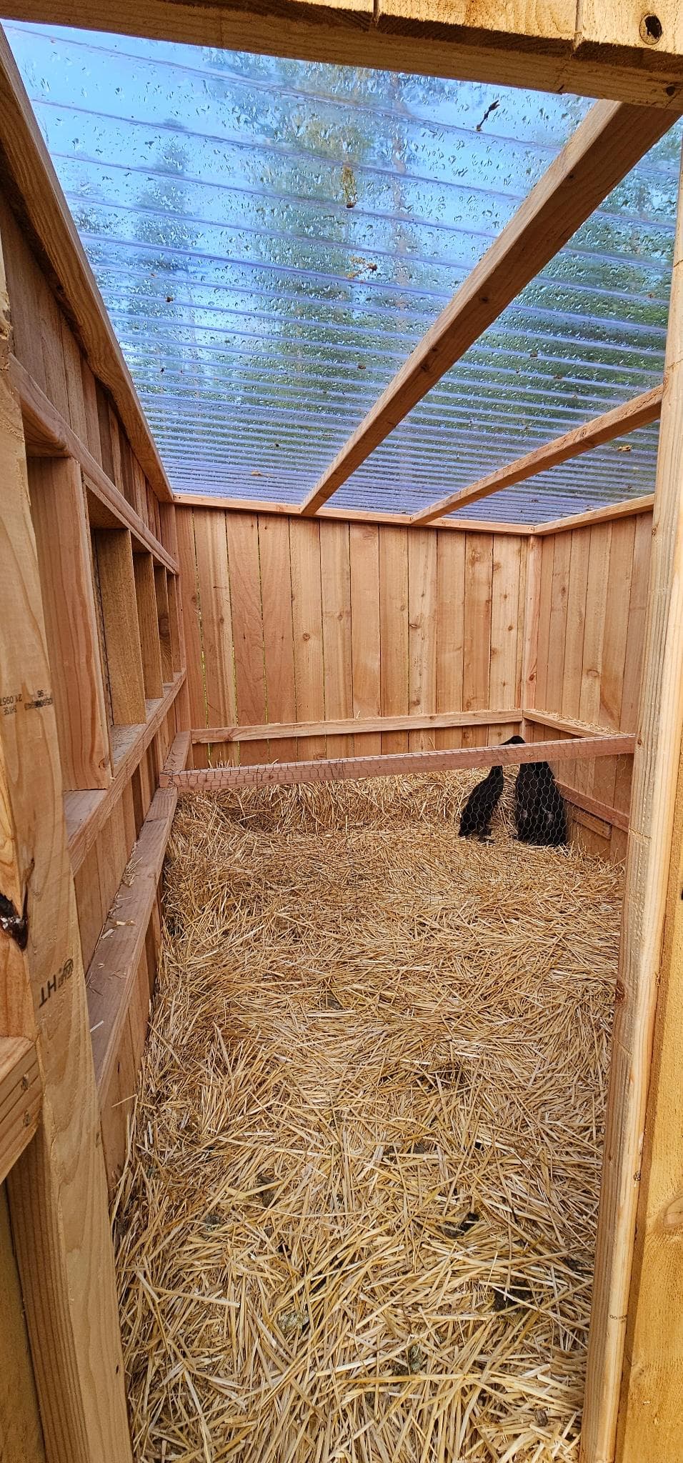 The inside of the duck coop.
